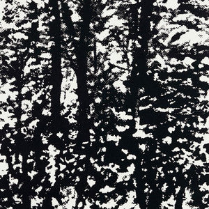 Woodland Night 5007444 by Schumacher Wallpaper