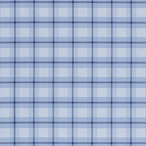 St. Lucia Plaid Cornflower 68021 by Schumacher Fabric