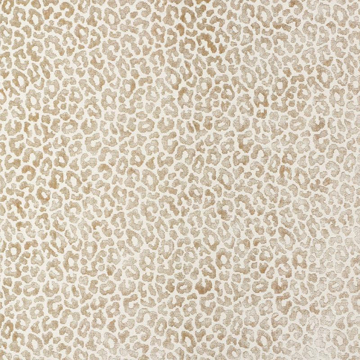 Madeleine Velvet Natural 68826 by Schumacher Fabric Cut & Patterned Velvets 4.0" - Fabric Carolina -