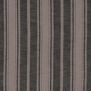 Zina Stripe Charcoal 71912 by Schumacher Fabric