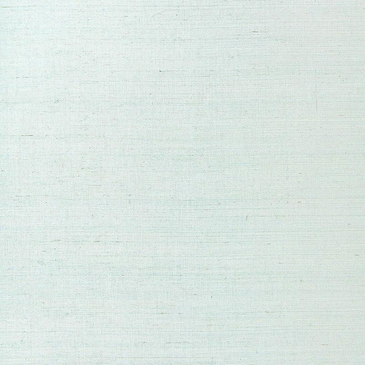 Suwon Sisal Silver Surf 5000764 by Schumacher Wallpaper Quiet Beauty - Fabric Carolina -