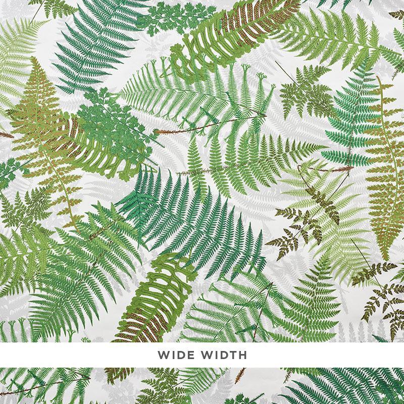 Fernarium Ivory & Leaf 5009190 by Schumacher Designer Wallpaper Clements Ribeiro 53.75" - Swanky Fabrics -