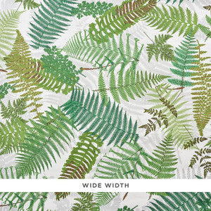 Fernarium Ivory & Leaf 5009190 by Schumacher Wallpaper