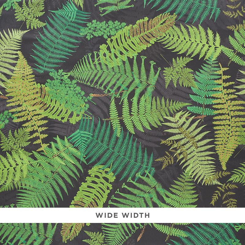 Fernarium Black & Leaf 5009191 by Schumacher Wallpaper Clements Ribeiro 53.75" - Fabric Carolina -