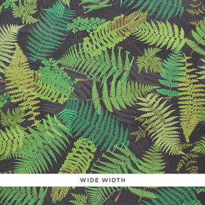 Fernarium Black & Leaf 5009191 by Schumacher Wallpaper