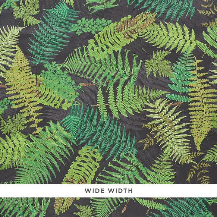 Fernarium Black & Leaf 5009191 by Schumacher Designer Wallpaper Clements Ribeiro 53.75" - Swanky Fabrics -