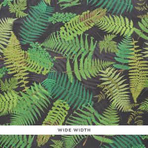 Fernarium Black & Leaf 5009191 by Schumacher Wallpaper