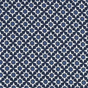 Serendipity Blues 176422 by Schumacher Fabric