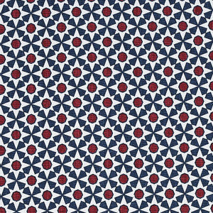 Serendipity Navy & Red 176423 by Schumacher Fabric