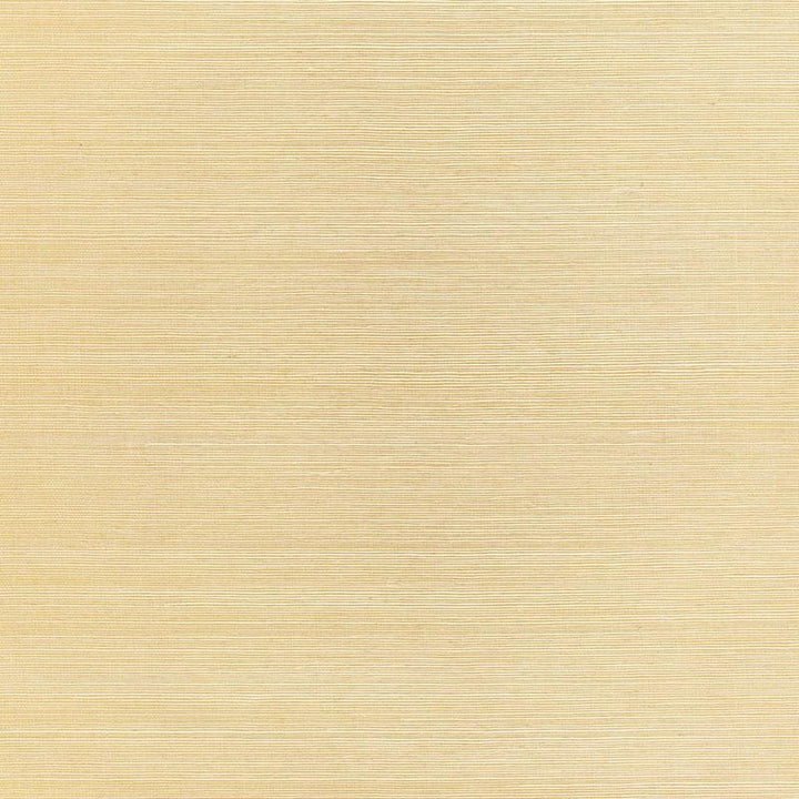 Haiku Sisal Citrine 5006861 by Schumacher Wallpaper Perfect Basics: Haruki Sisal - Fabric Carolina -