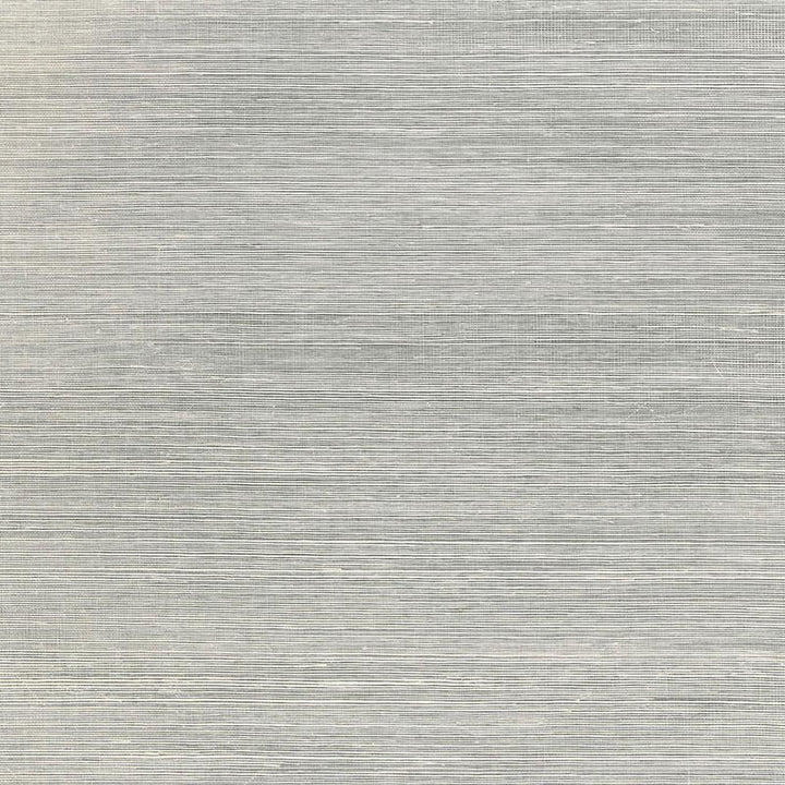 Haiku Sisal Charcoal 5006864 by Schumacher Wallpaper Perfect Basics: Haruki Sisal - Fabric Carolina -