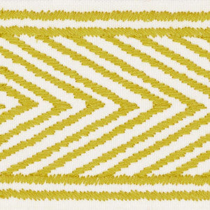 Nicholson Tape Citrine 69964 by Schumacher Trim