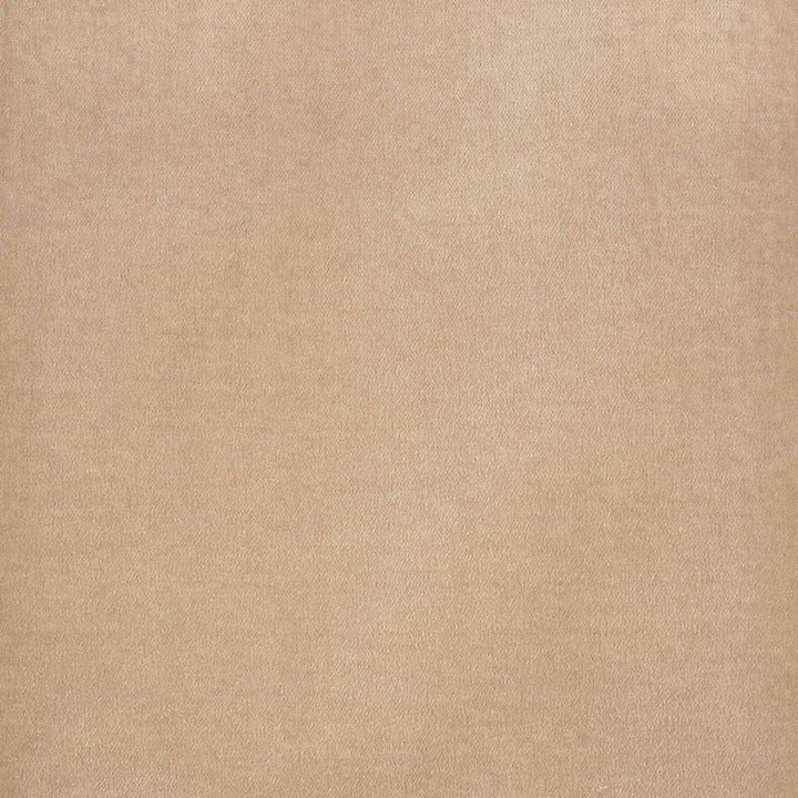 Rocky Performance Velvet Light Taupe 70469 by Schumacher Designer Fabric Perfect Basics: Velvet - Swanky Fabrics -