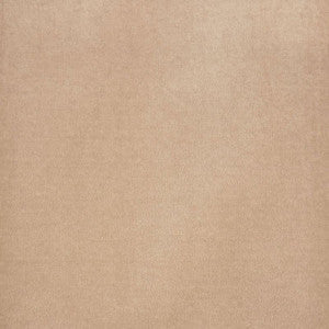 Rocky Performance Velvet Light Taupe 70469 by Schumacher Fabric