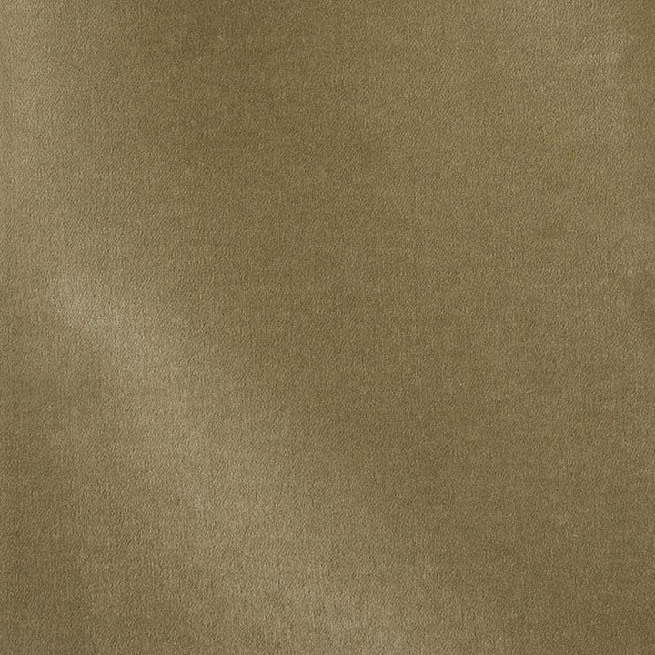 Rocky Performance Velvet Sage 70493 by Schumacher Fabric Perfect Basics: Velvet - Fabric Carolina -