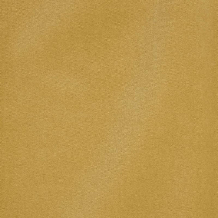Rocky Performance Velvet Bronze 70501 by Schumacher Fabric Perfect Basics: Velvet - Fabric Carolina -