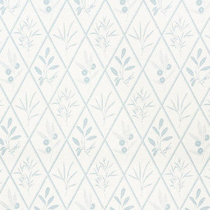 Endimione Sky 177640 by Schumacher Fabric