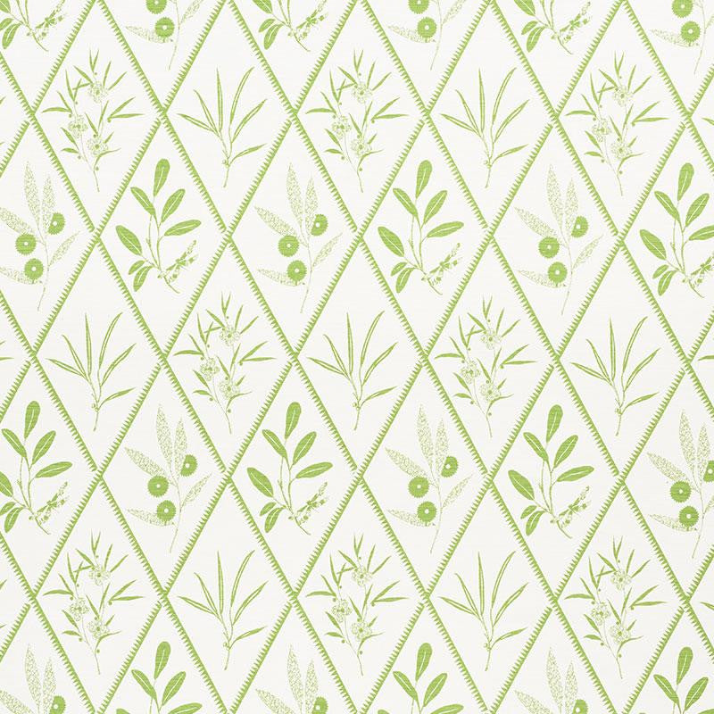 Endimione Leaf 177641 by Schumacher Designer Fabric Charlap Hyman & Herrero 13.25" - Swanky Fabrics -