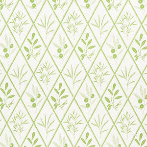 Endimione Leaf 177641 by Schumacher Fabric