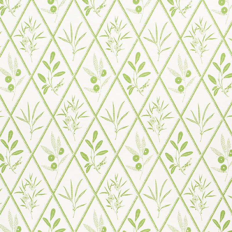 Endimione Leaf 177641 by Schumacher Fabric Charlap Hyman & Herrero 13.25" - Fabric Carolina -