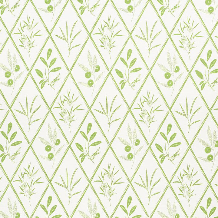 Endimione Leaf 177641 by Schumacher Fabric Charlap Hyman & Herrero 13.25" - Fabric Carolina -