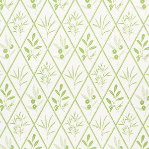 Endimione Leaf 177641 by Schumacher Fabric