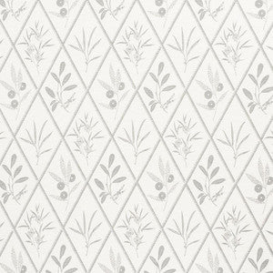 Endimione Grey 177642 by Schumacher Fabric