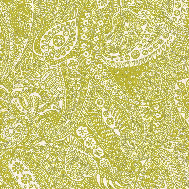 Paisley Print Soft Chartreuse 2644321 by Schumacher Designer Fabric Modern Prints - Swanky Fabrics -