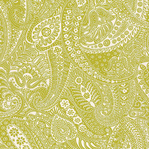 Paisley Print Soft Chartreuse 2644321 by Schumacher Fabric