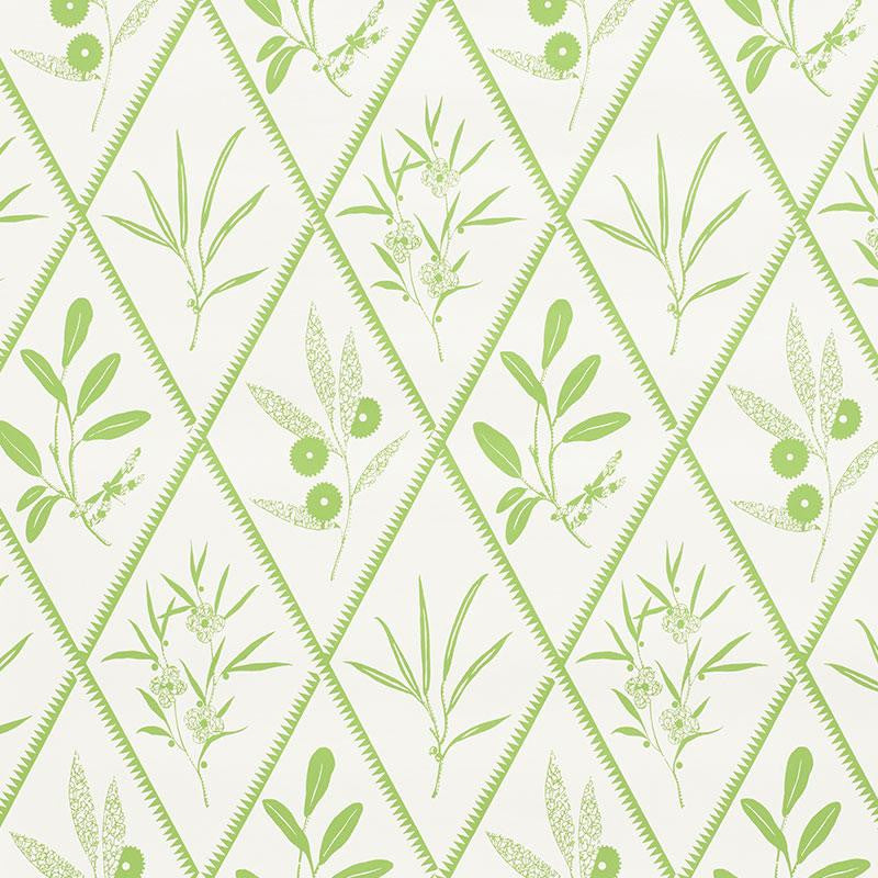 Endimione Leaf 5009371 by Schumacher Wallpaper Charlap Hyman & Herrero 13.5" - Fabric Carolina -
