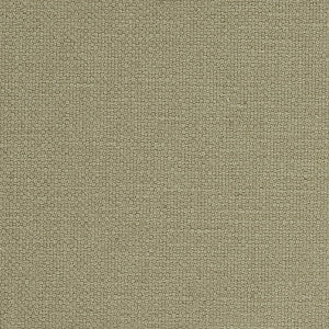 Langham High Performance Union Thyme 69619 by Schumacher Fabric