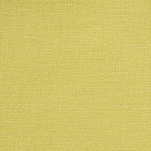Langham High Performance Union Lime 69667 by Schumacher Fabric
