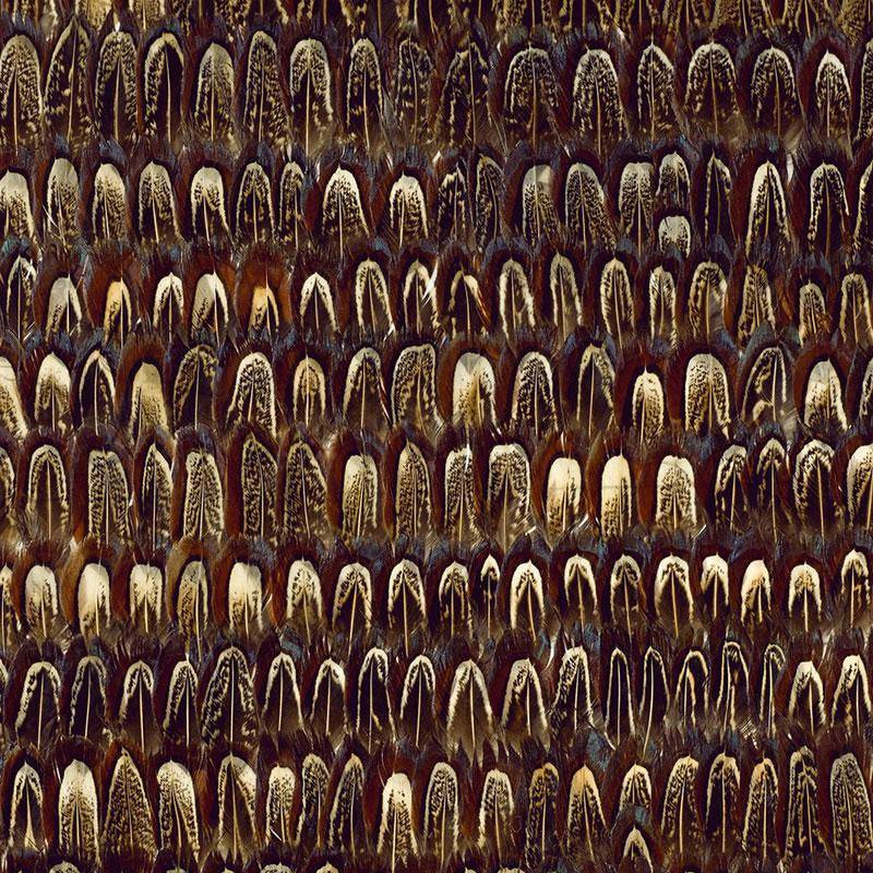 Caumsett Sable 5003970 by Schumacher Wallpaper Nest - Fabric Carolina -