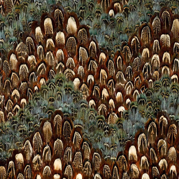 Chesapeake Topaz 5003840 by Schumacher Wallpaper Nest - Fabric Carolina -