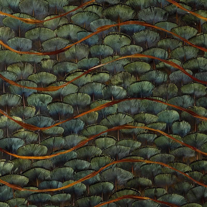 Emerald Bay Peacock 5003940 by Schumacher Wallpaper Nest - Fabric Carolina -