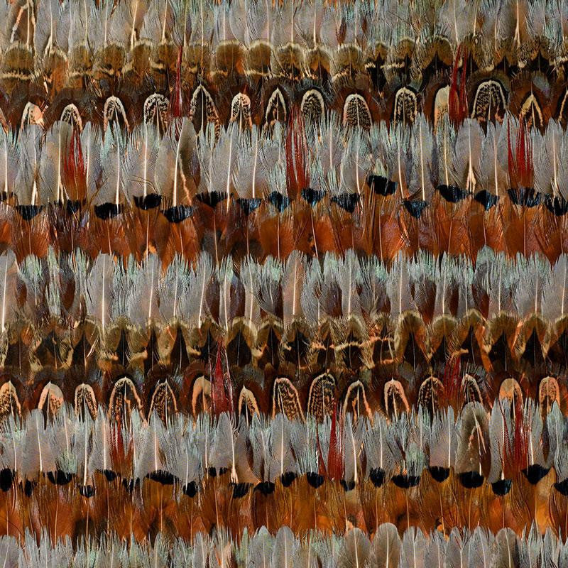 Wildwood Jewel 5003900 by Schumacher Wallpaper Nest - Fabric Carolina -