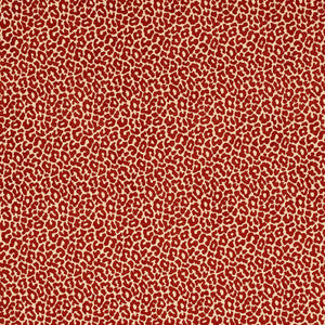 Madeleine Velvet Grenadine 68821 by Schumacher Fabric