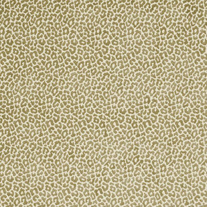 Madeleine Velvet Verdigris 68823 by Schumacher Fabric