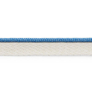 Coleman Lip Cord Delft 74925 by Schumacher Trim