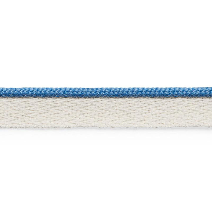 Coleman Lip Cord Delft 74925 by Schumacher Designer Trim Perfect Basics: Outdoor Trims - Swanky Fabrics -