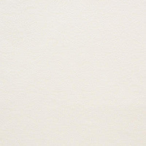 Hardwick Ivory 75511 by Schumacher Fabric