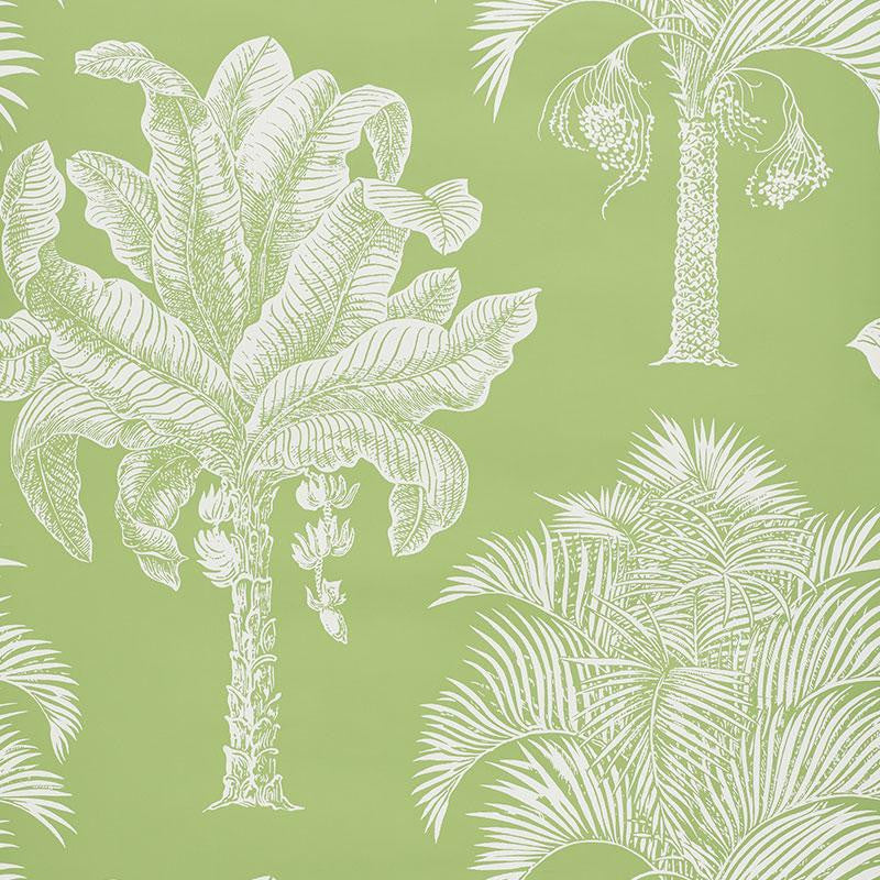 Grand Palms Leaf 5009620 by Schumacher Wallpaper New Traditional 27.0" - Fabric Carolina -