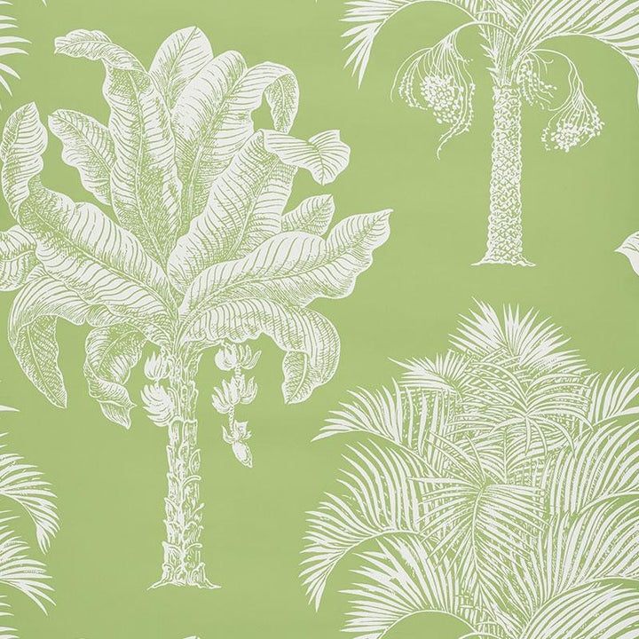 Grand Palms Leaf 5009620 by Schumacher Wallpaper New Traditional 27.0" - Fabric Carolina -