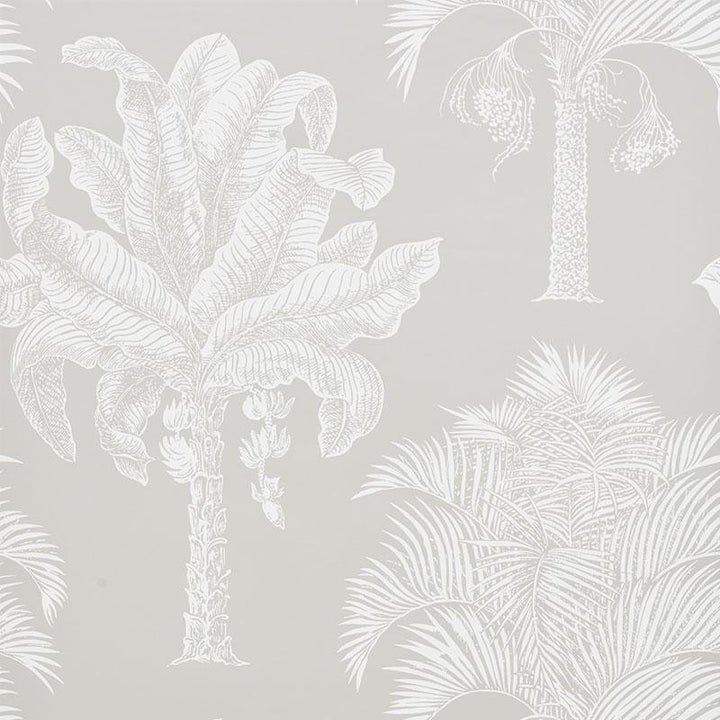 Grand Palms Dove 5009622 by Schumacher Wallpaper New Traditional 27.0" - Fabric Carolina -