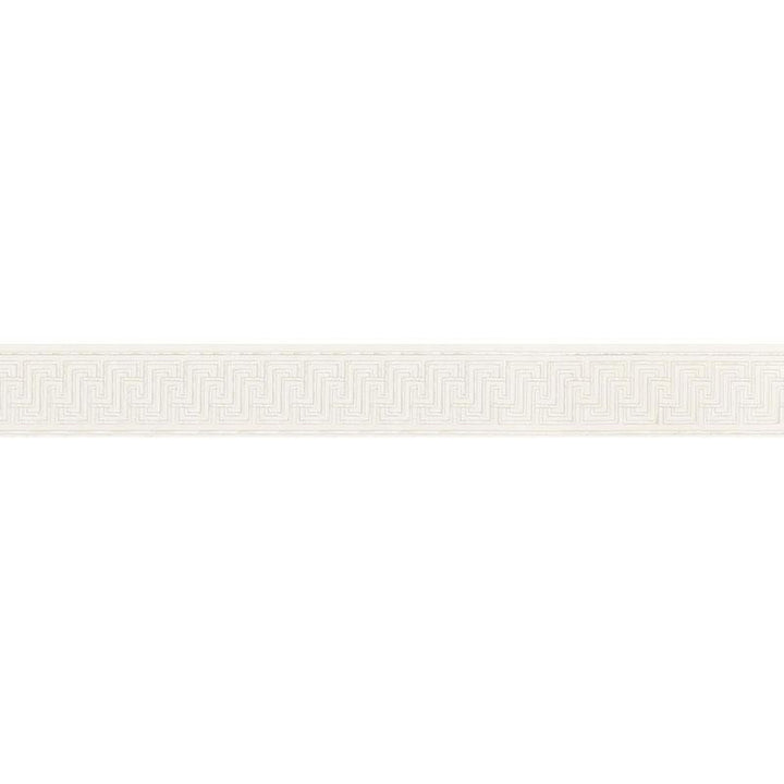 Labyrinth Tape Silver 66146 by Schumacher Trim Mary Mcdonald 2.5" - Fabric Carolina -