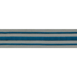 Military Stripe Tape Peacock On Celadon 70785 by Schumacher Trim