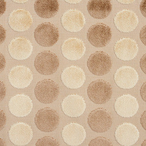 20780-04 by Charlotte Fabric