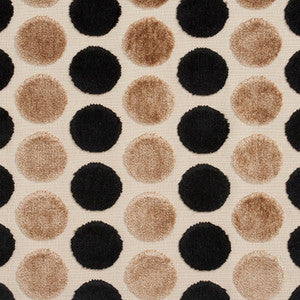 20780-05 by Charlotte Fabric