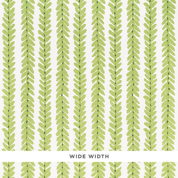 Woodperry Green 5008791 by Schumacher Wallpaper Veere Grenney 26.5" - Fabric Carolina -