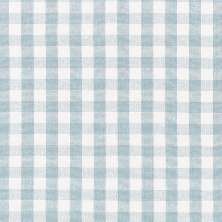 Elton Cotton Check Sky 63066 by Schumacher Fabric French Revolution 1.25" - Fabric Carolina -